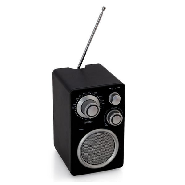 Multimedia Speaker FM 143751